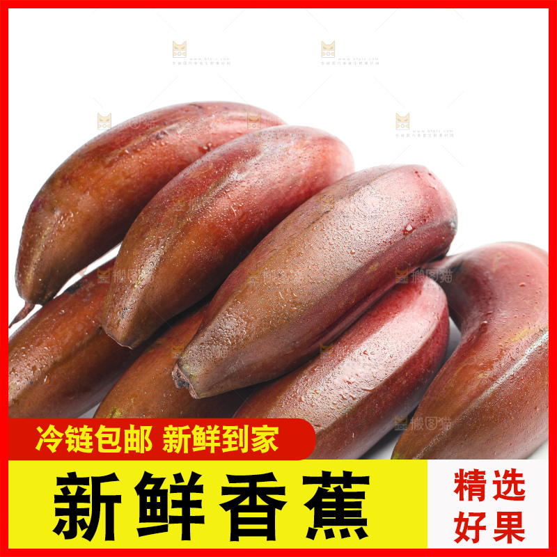 白底上的红皮美人蕉