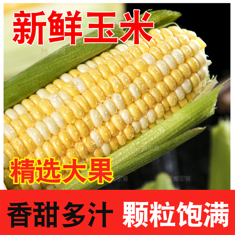 黑底上的云南水果玉米