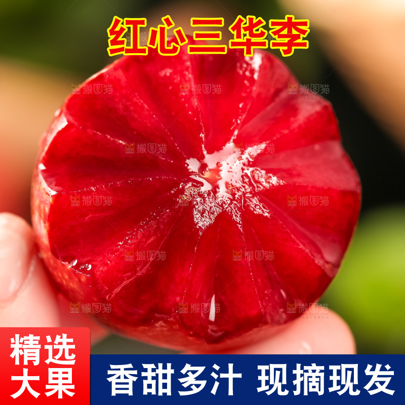 红肉三华李主图