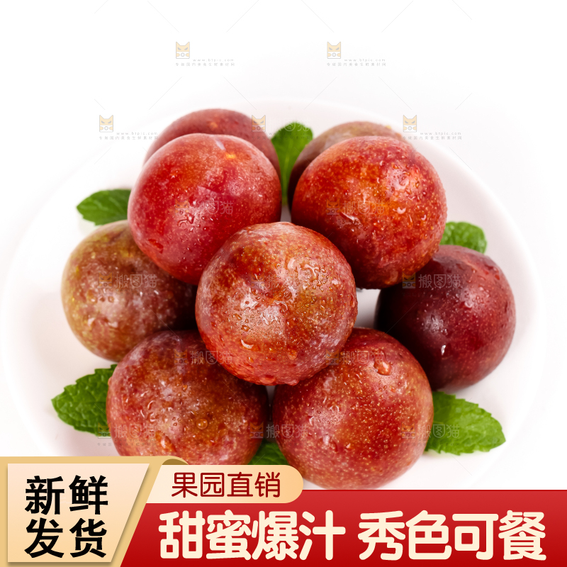 白底上的红肉三华李