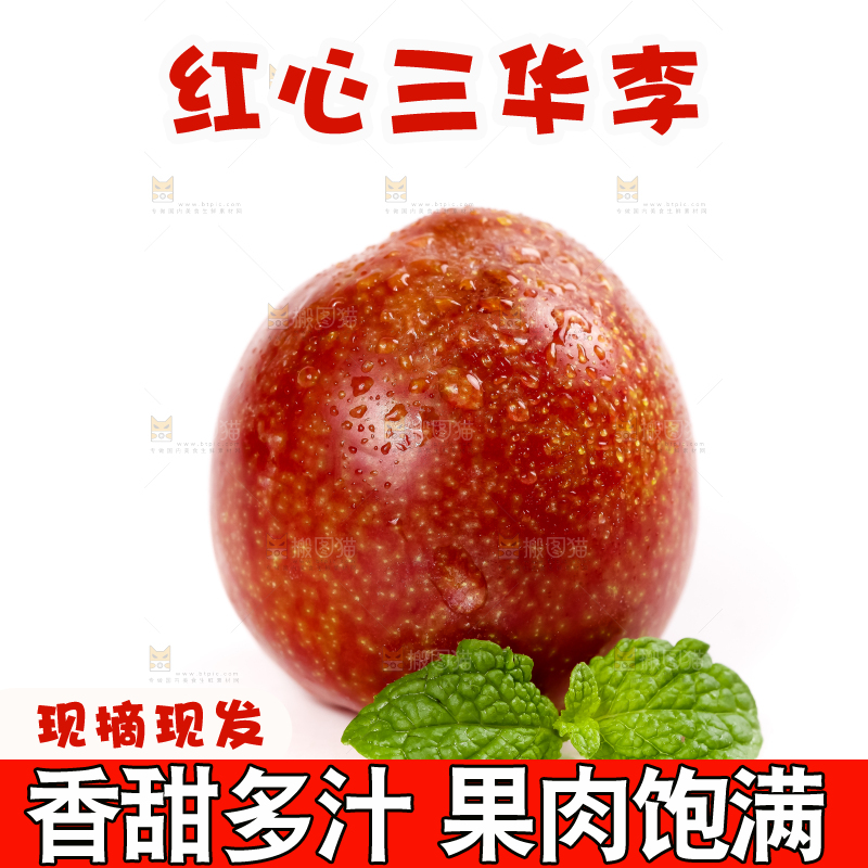 白底上的红肉三华李