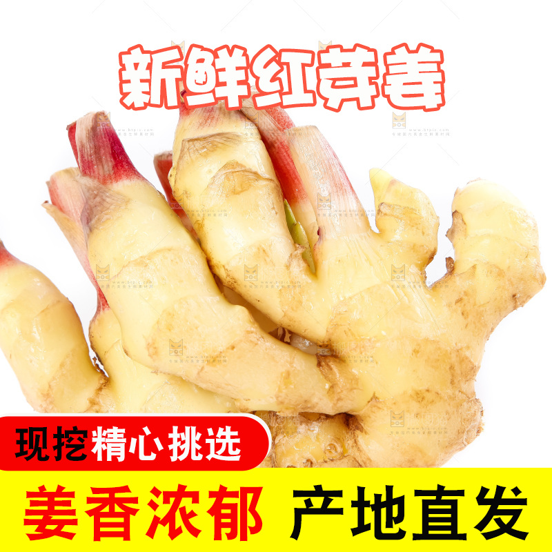 白底上的红芽姜