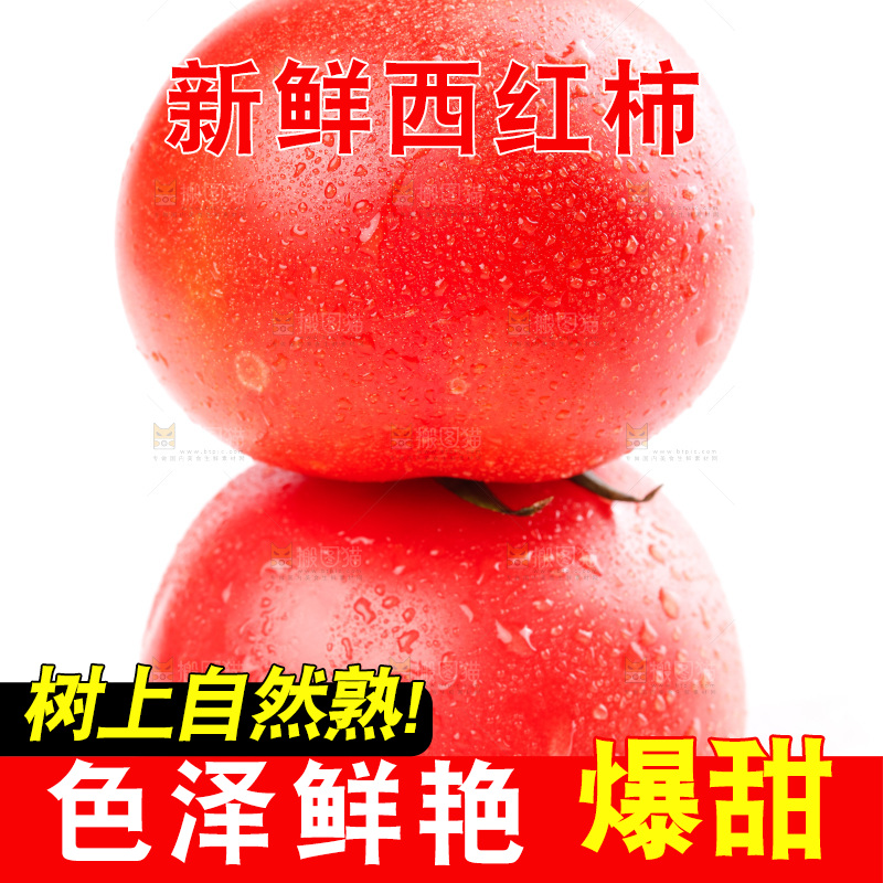 亮底上的新鲜西红柿