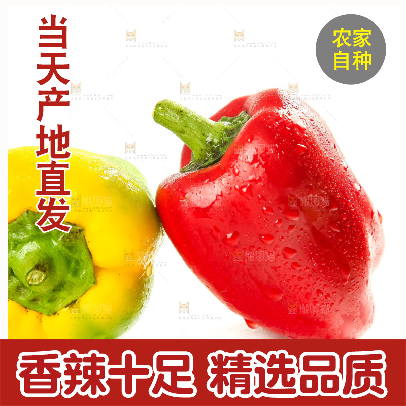 白底上的山东彩椒