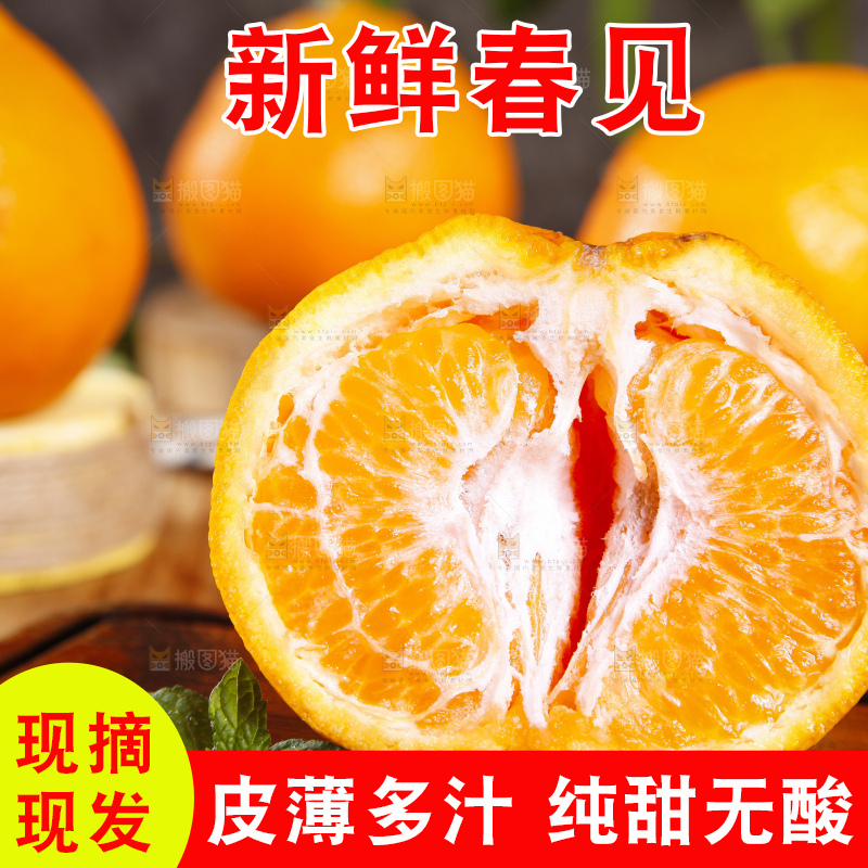 木板上的春见耙耙柑