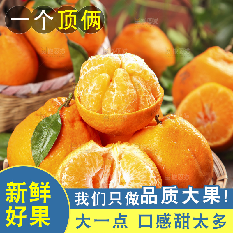 篮子里装着一堆四川春见耙耙柑
