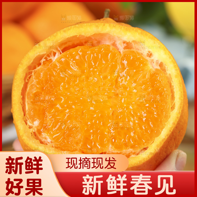 手里拿着四川耙耙柑