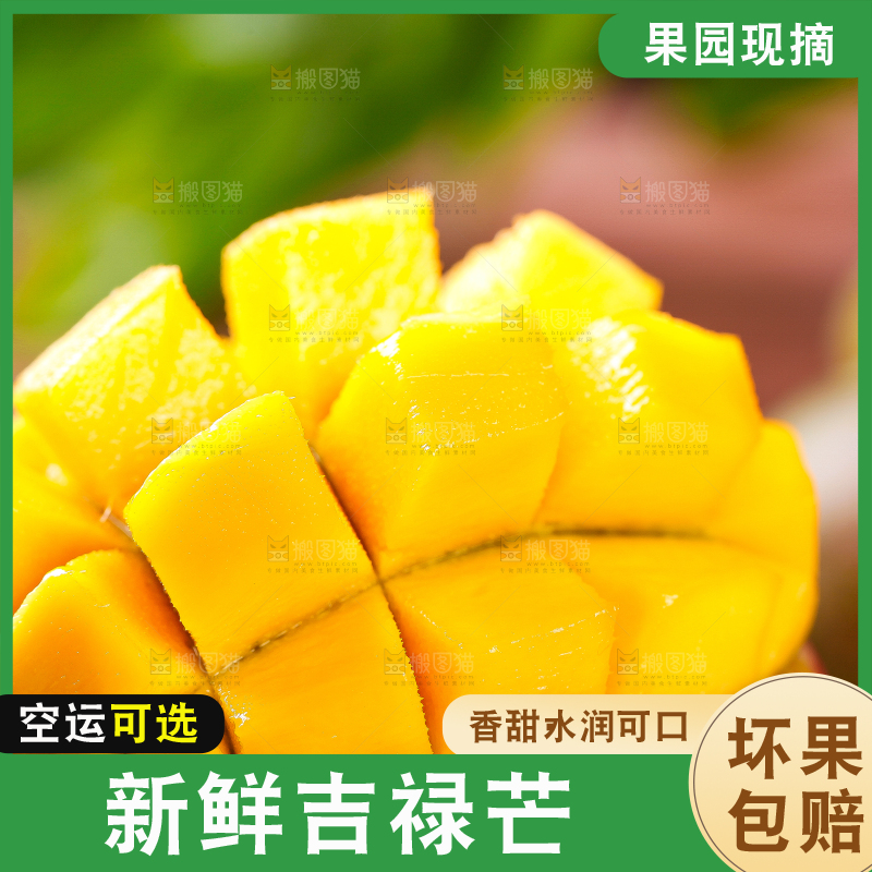石板上放着吉禄芒