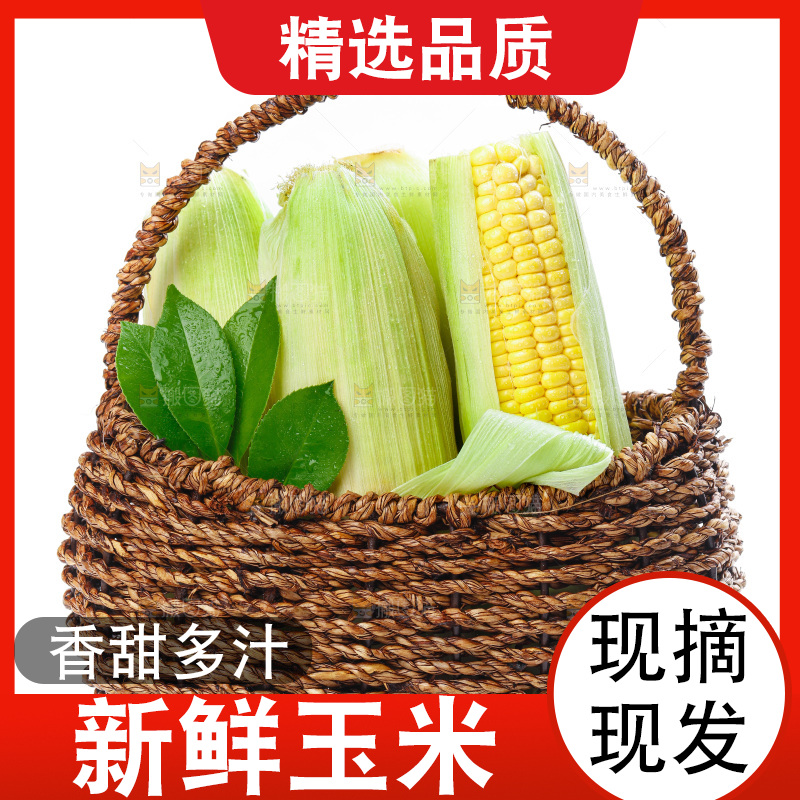 篮子子装着玉米棒