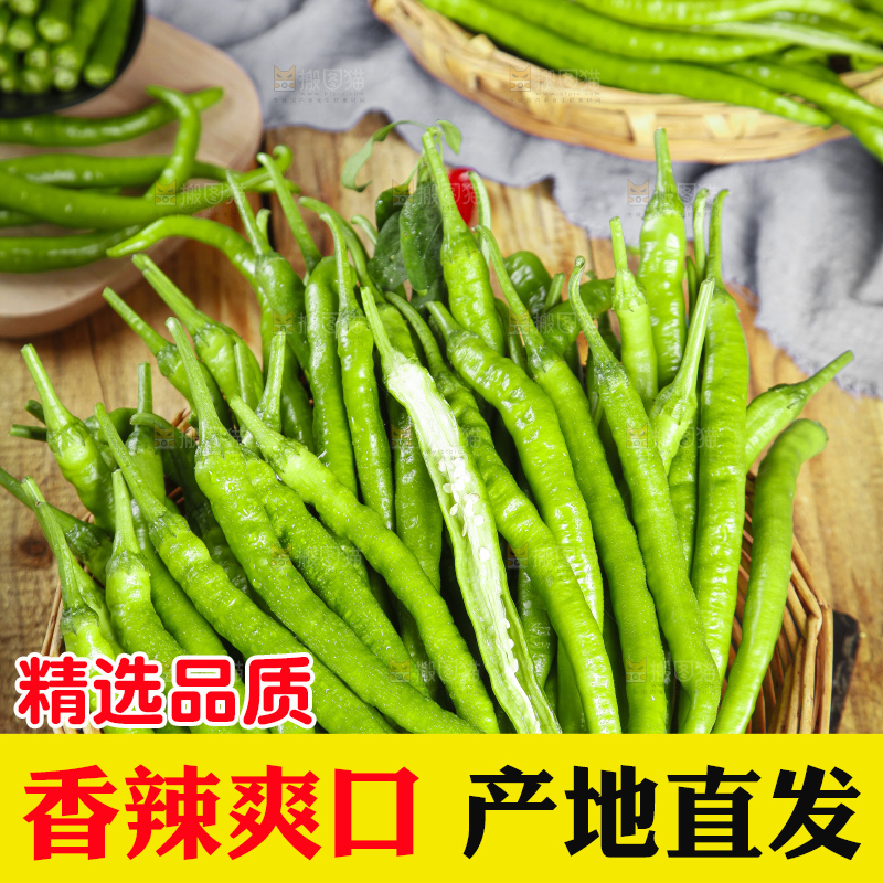 篮子里装着线椒