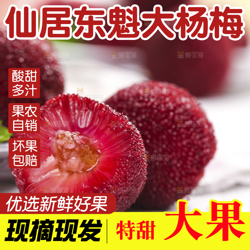 杨梅