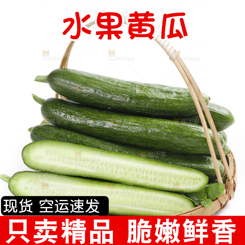 篮子里装着无刺小黄瓜