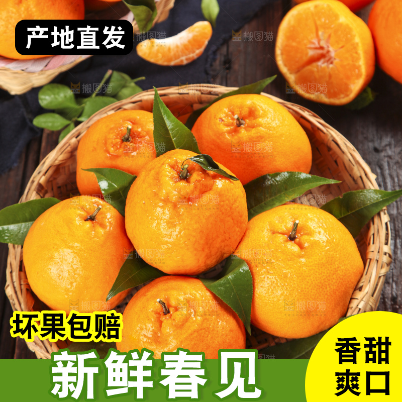 篮子里装着一堆四川春见耙耙柑