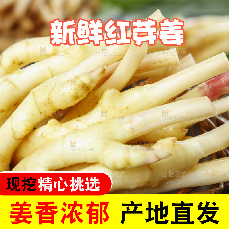 篮子里装着新鲜嫩姜
