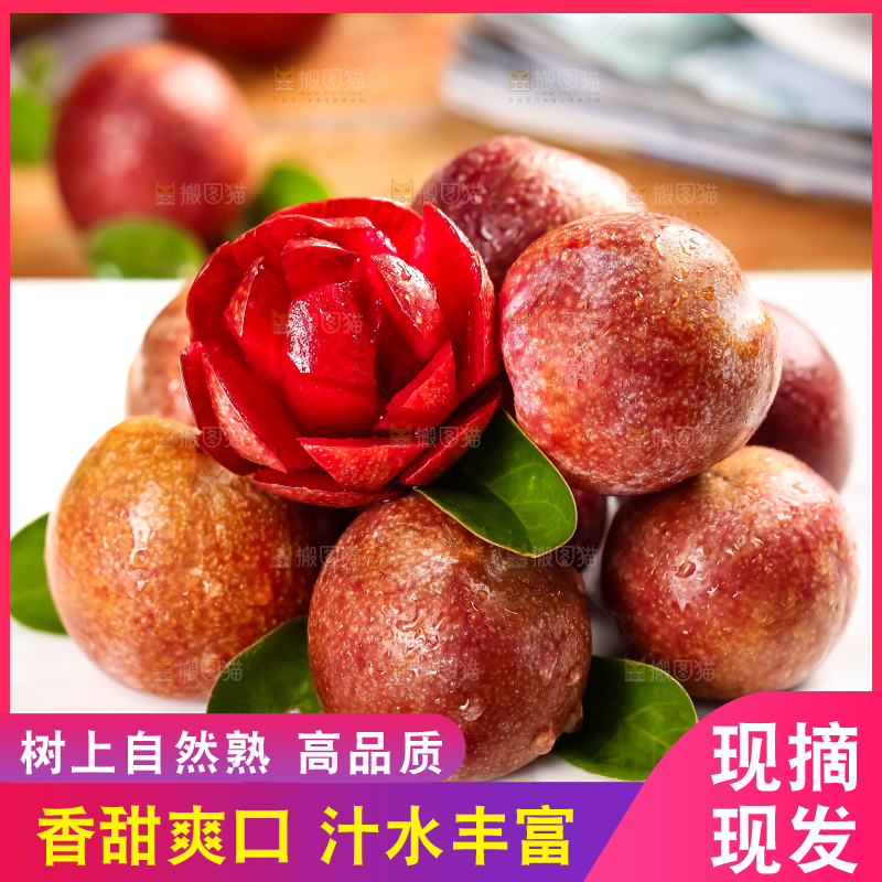 红肉三华李主图