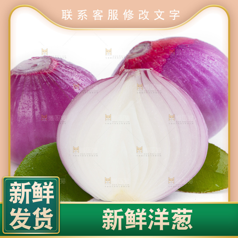 白底上的新鲜洋葱