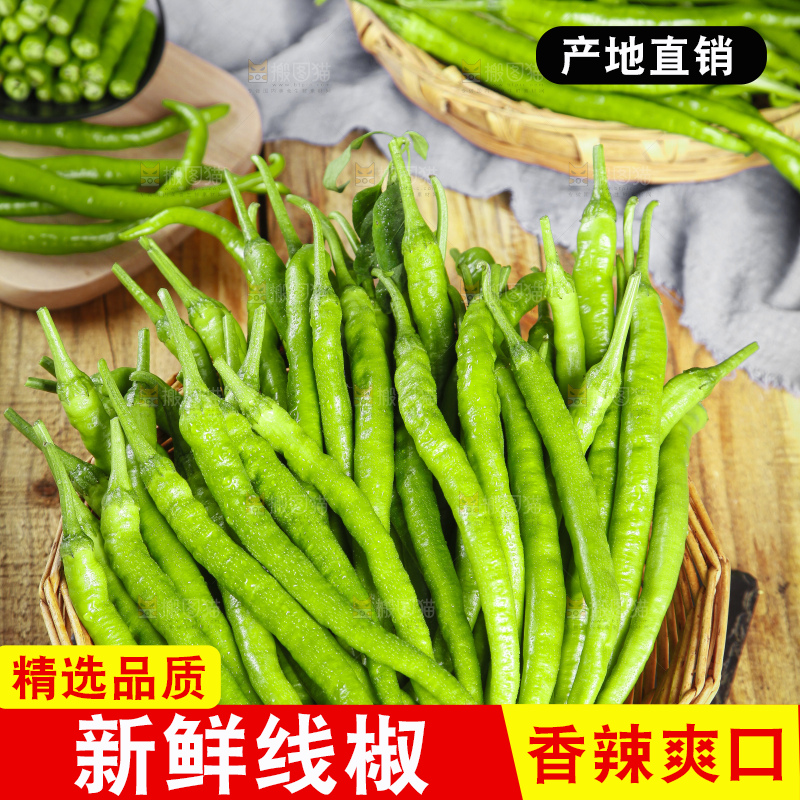 篮子里装着线椒
