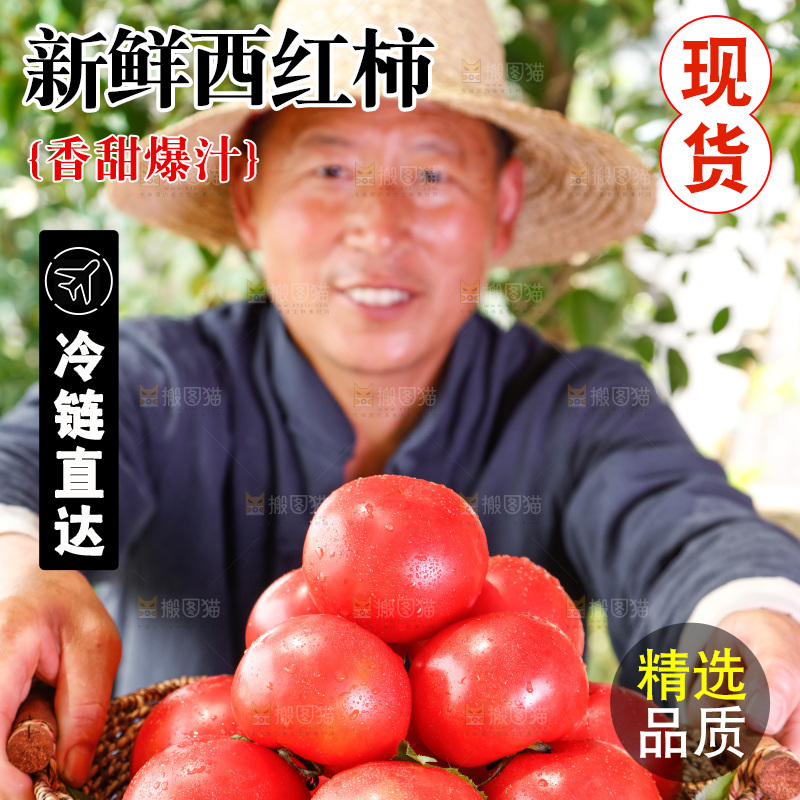 农民手里端着一篮子番茄