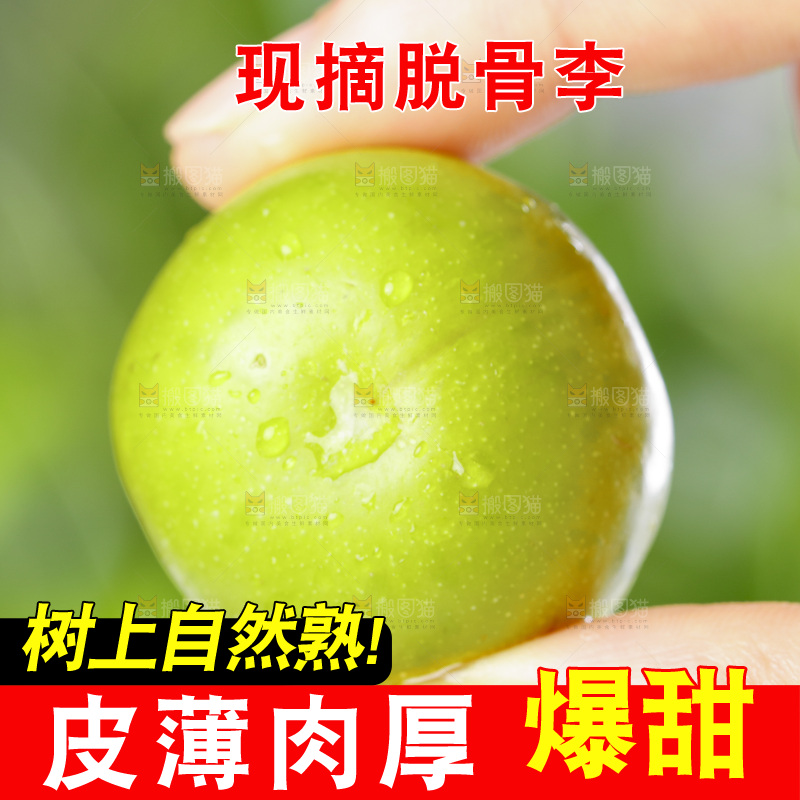 手里拿着新鲜李子