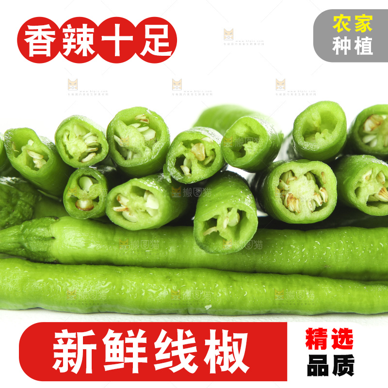 白底上的新鲜青辣椒