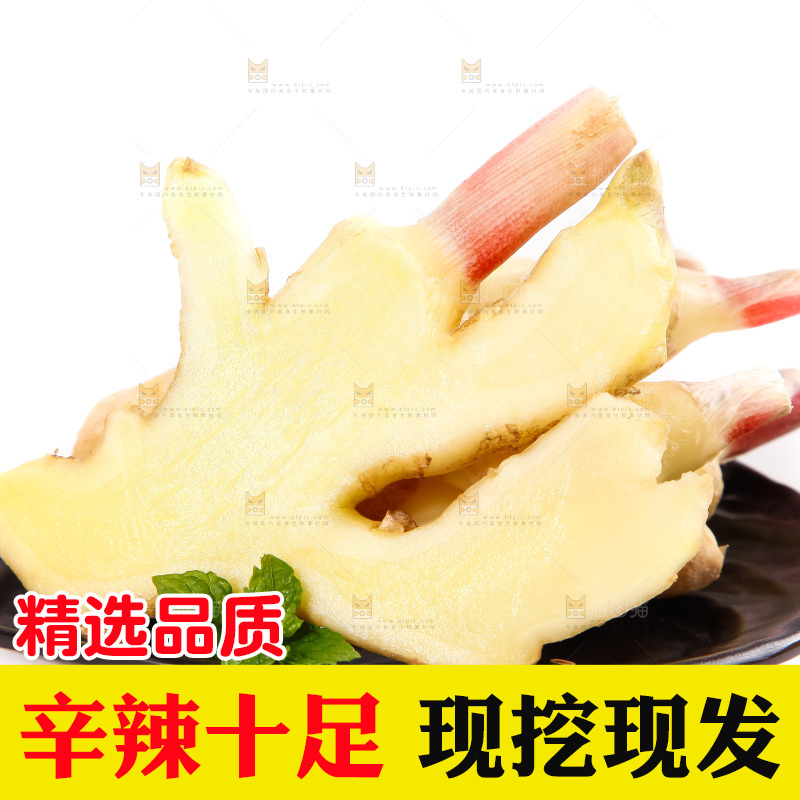 白底上的红芽姜