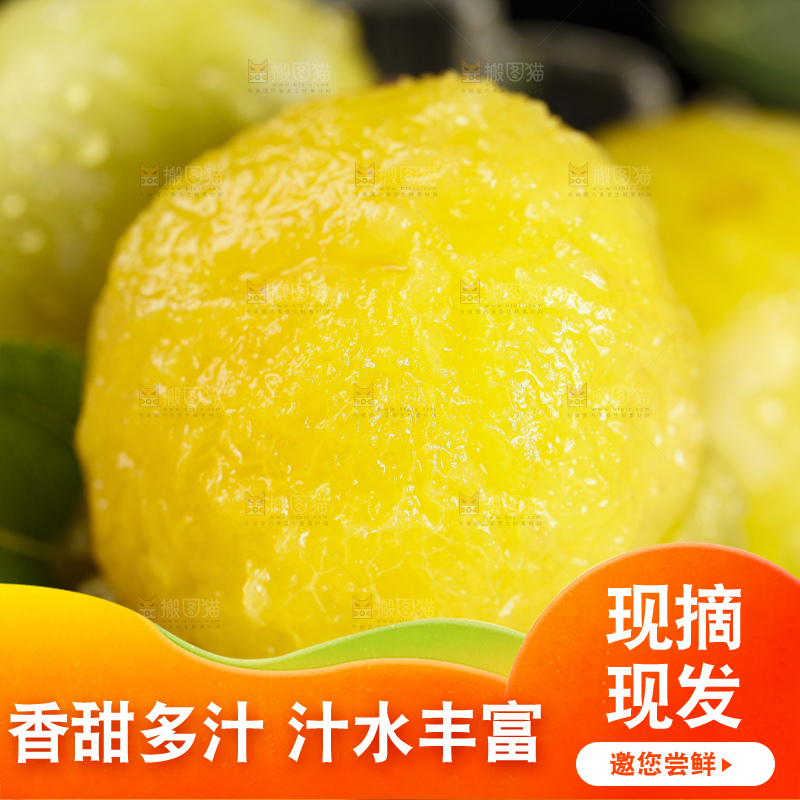 石板上放着九峰山黄金奈李