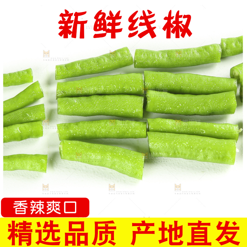 白底上的新鲜青辣椒
