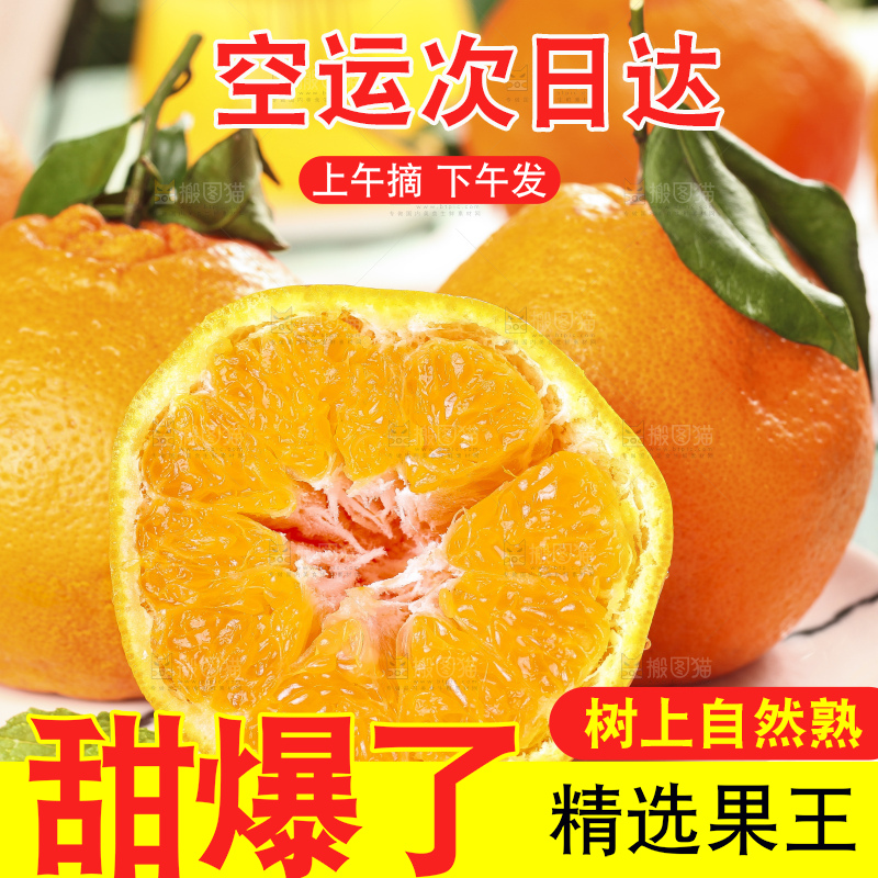 盘子里装着耙耙柑