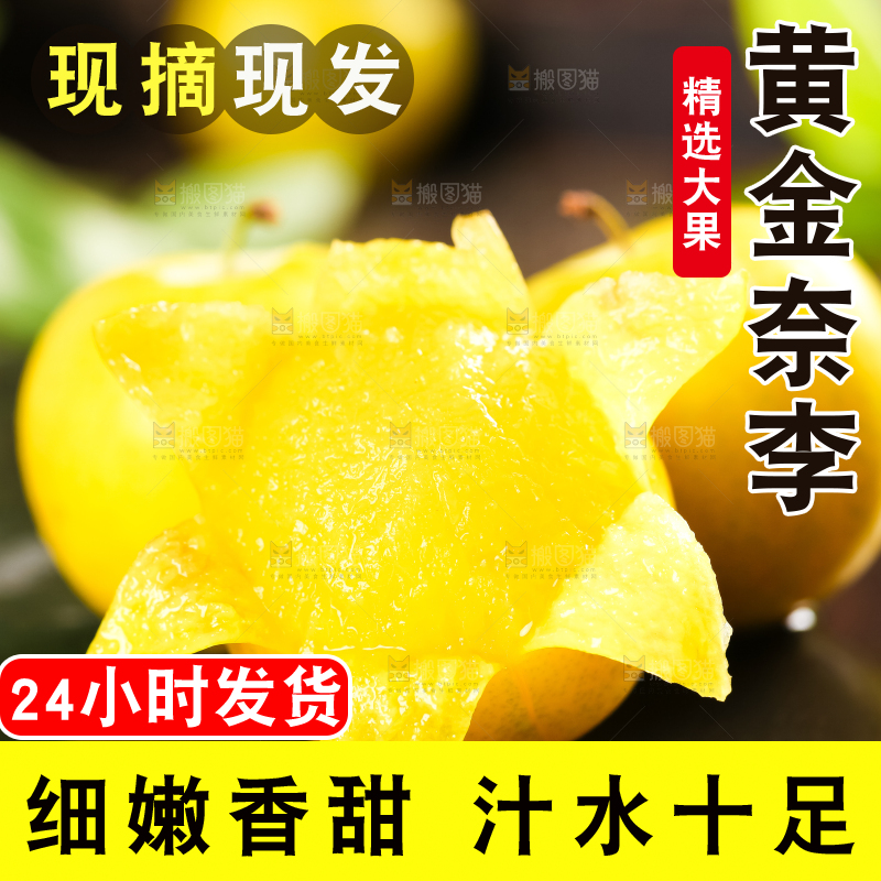 石板上的黄金李子