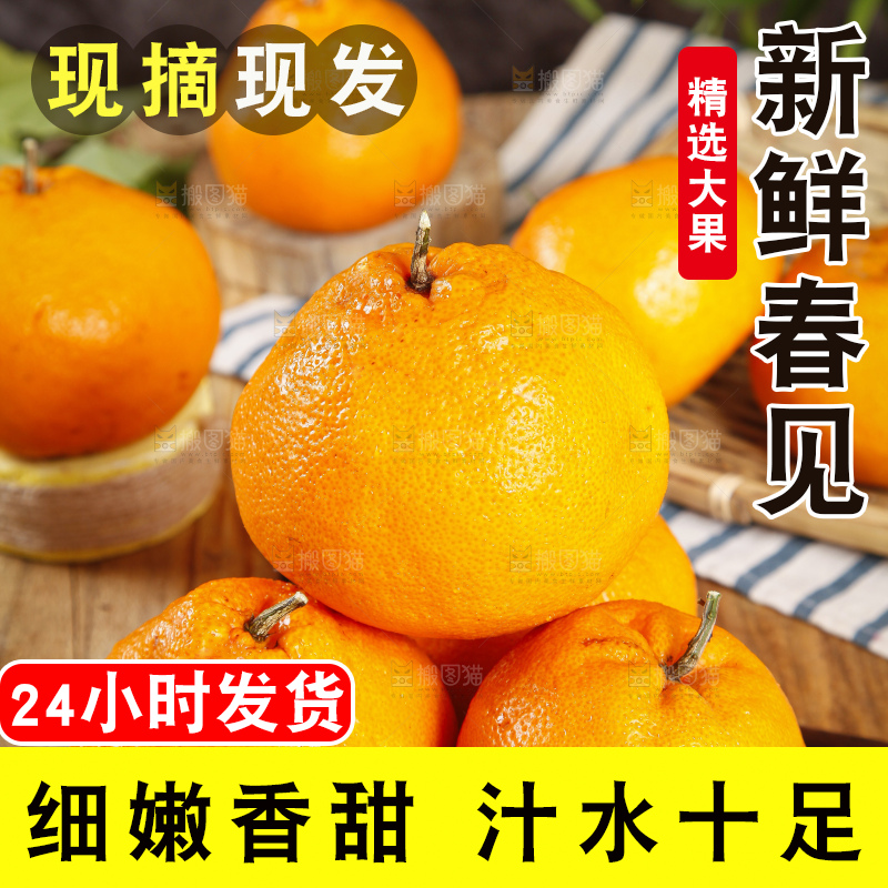 木板上的春见耙耙柑