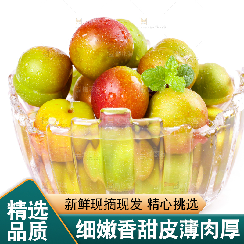 白底上的青红脆李