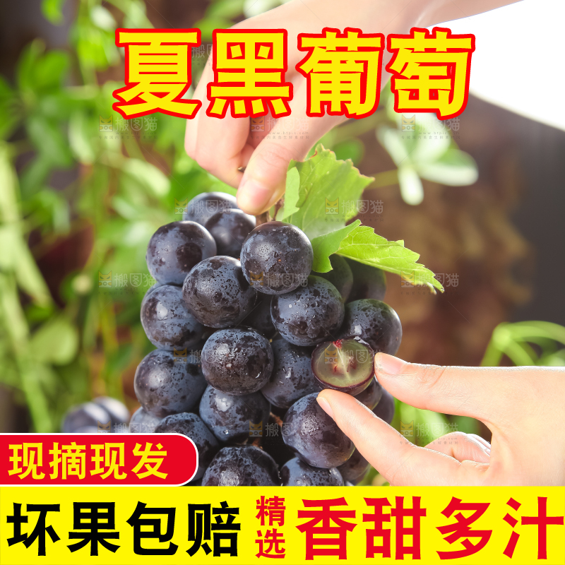 白格子底上放着夏黑葡萄