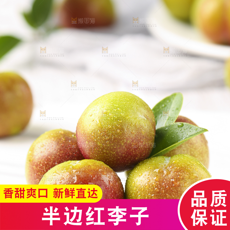 石板上摆放着四川茵红脱骨李