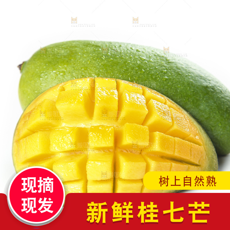 白底上的桂七香芒