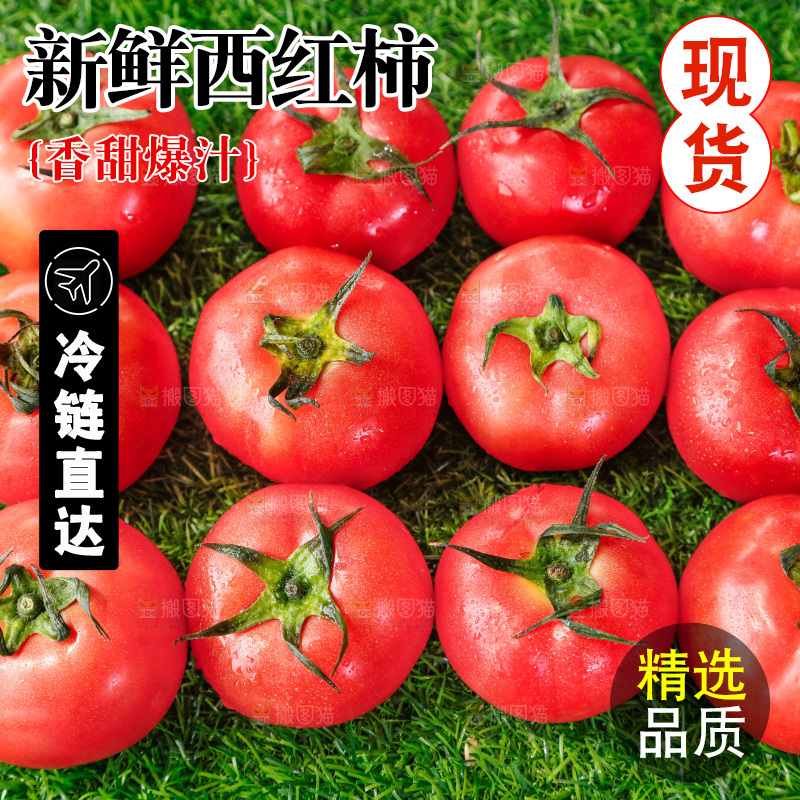草地上的一堆新鲜西红柿