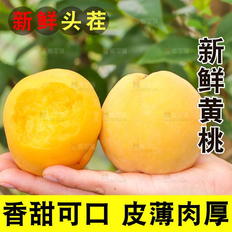 手里拿着黄肉水蜜桃