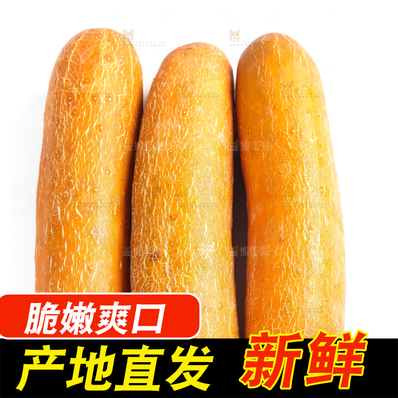 白底上的新鲜老黄瓜