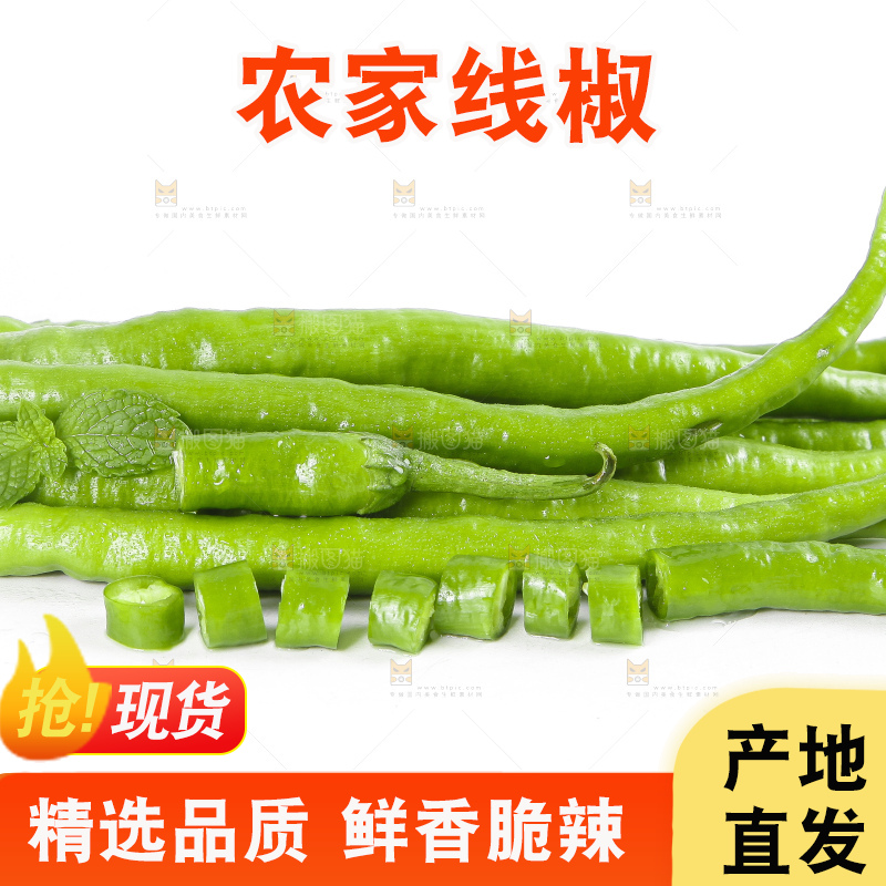 白底上的青线椒