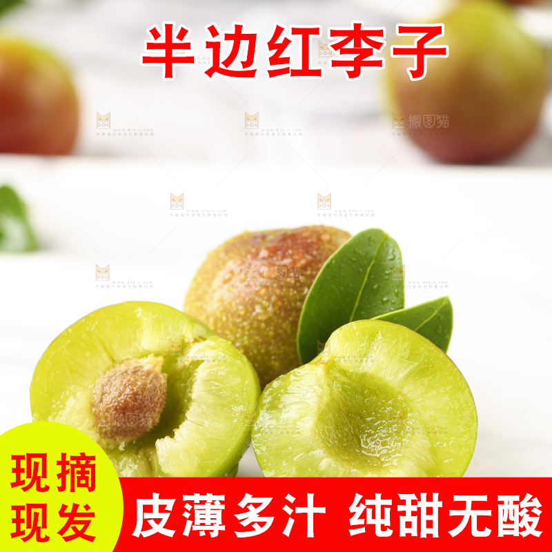 石板上摆放着四川茵红脱骨李