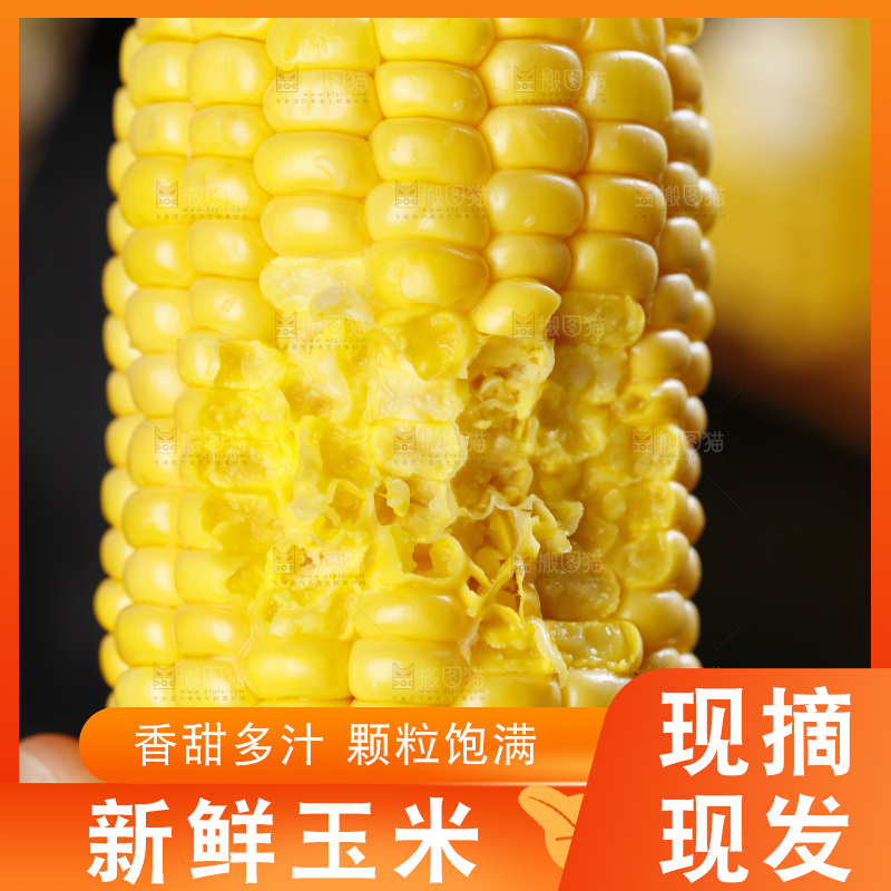 手里拿着新鲜玉米