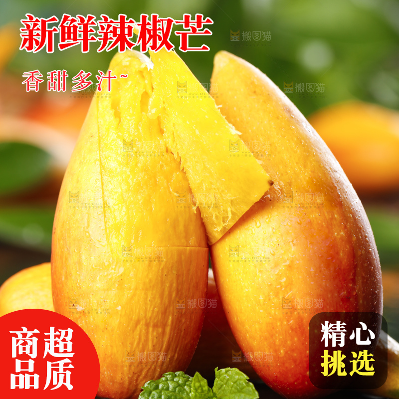 石板上的牙签芒