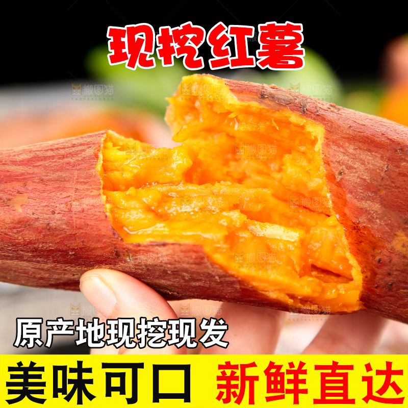 手上拿着福建六鳌蜜薯