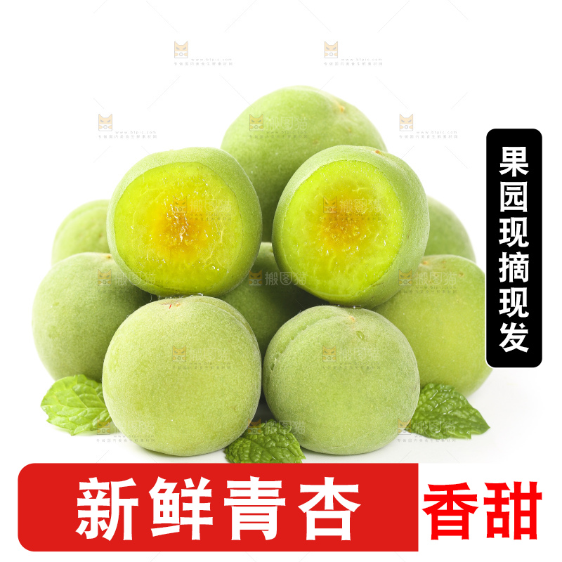 白底上的新鲜青杏