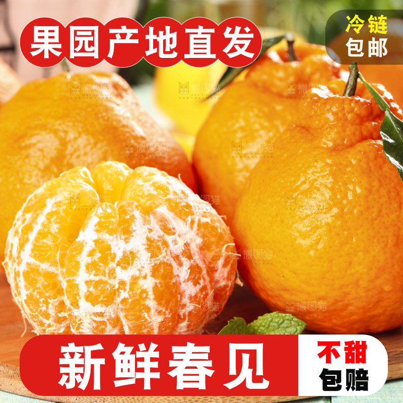 木板上放着四川耙耙柑