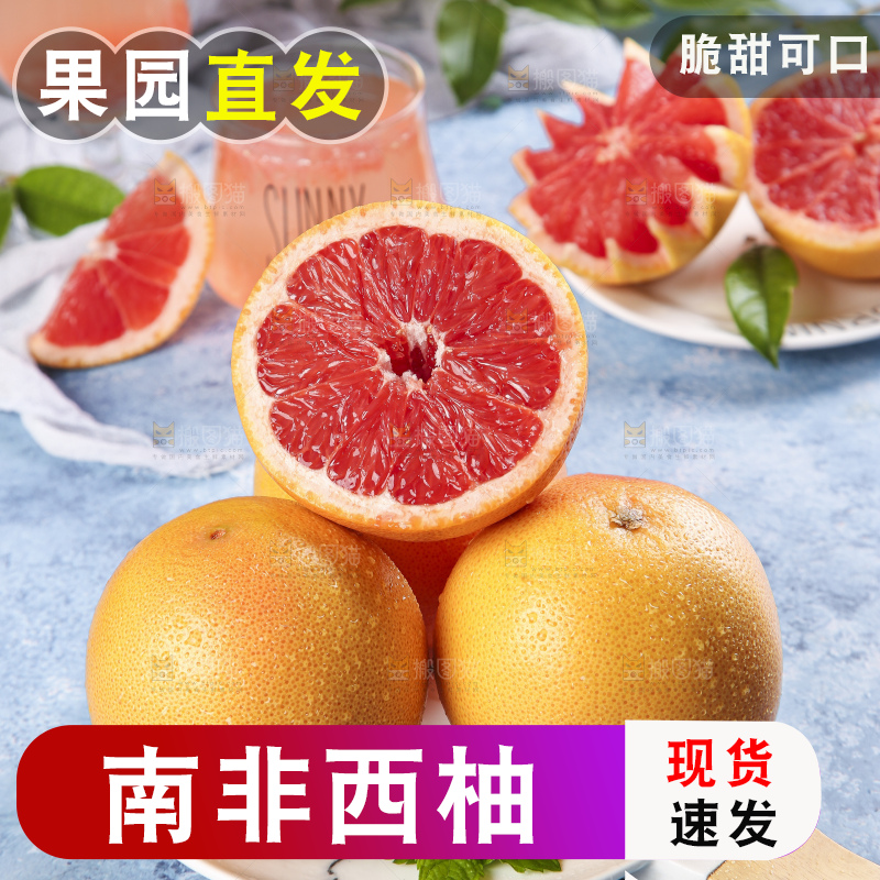 蓝底上的新鲜西柚