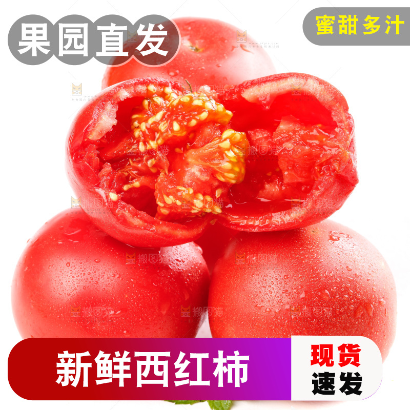 亮底上的新鲜西红柿