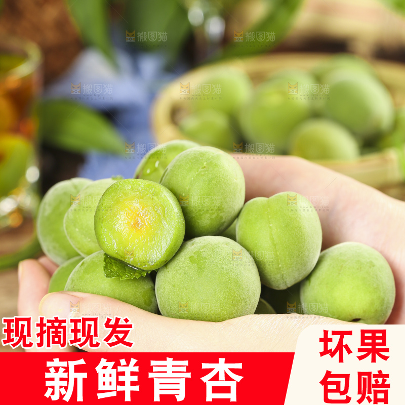 手里拿着脆酸青杏