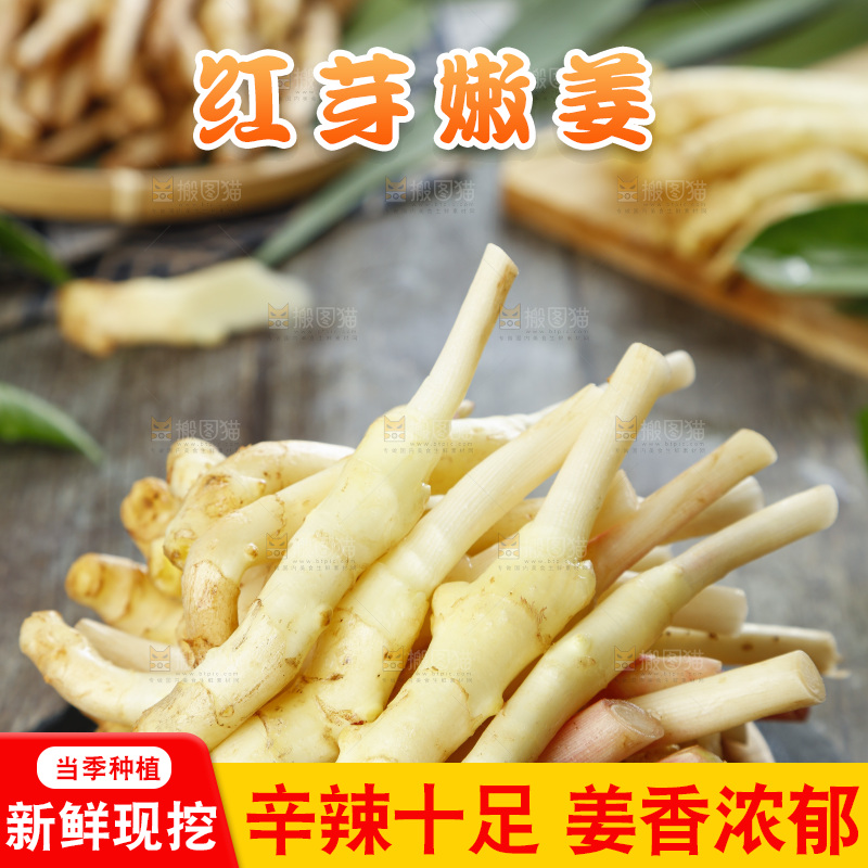 篮子里装着新鲜嫩姜