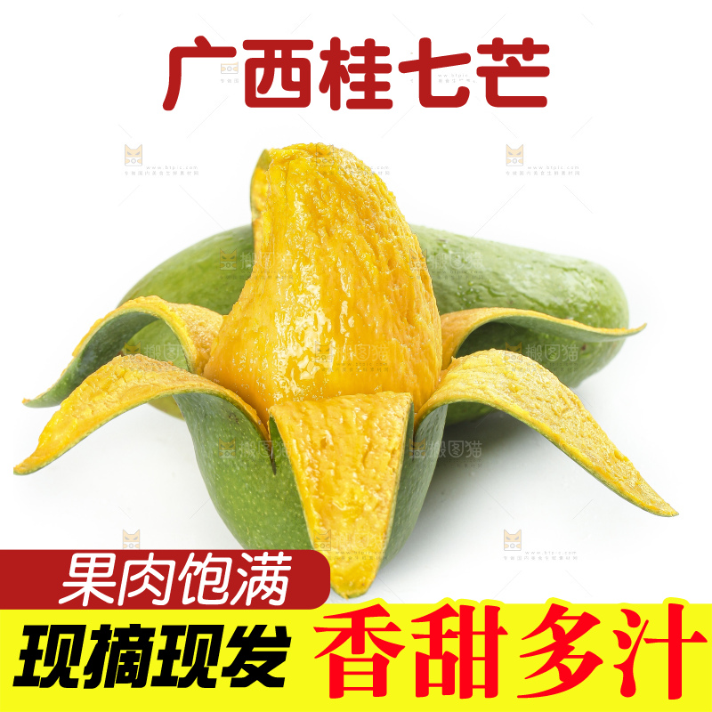 白底上的桂七香芒