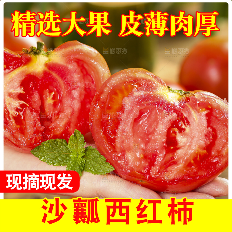 手里拿着米易沙瓤西红柿